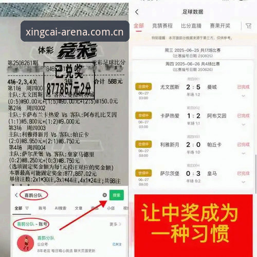 杏彩体育网页版深度评测：常见问题全面解析与实战指南